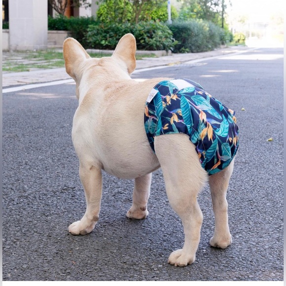 XL Cutedog dog diapers for docked tails-NWT - Picture 9 of 10